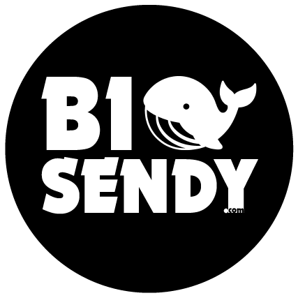 BigSendy Logo